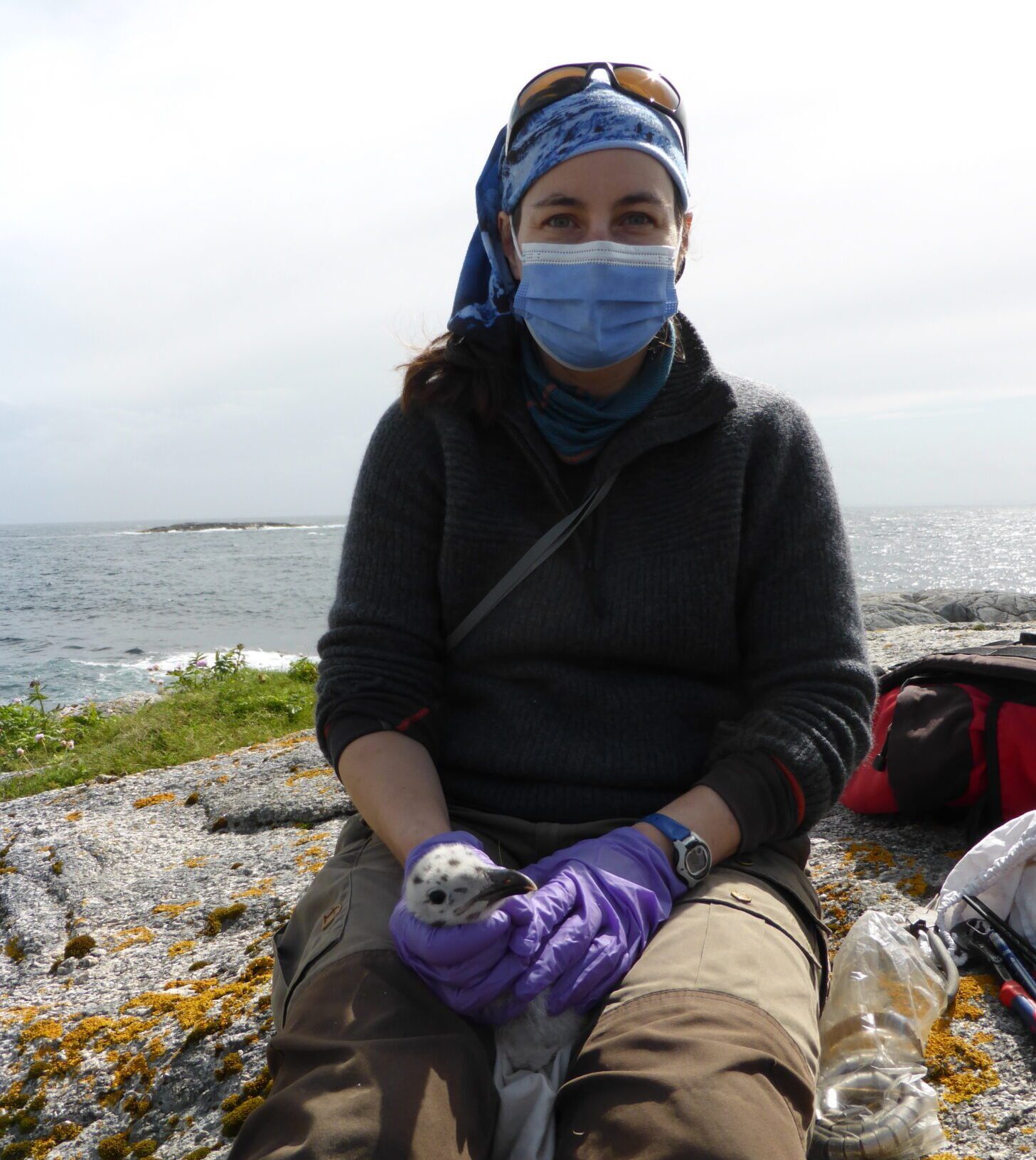 Fieldworker with gull and protective equipment. Photo © SEAPOP